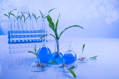 液相色譜串聯質譜-植物激素檢測代測服務說明圖1 液相色譜串聯質譜-植物激素檢測代測服務說明圖1