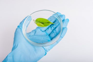 液相色譜串聯質譜-植物激素檢測代測服務說明圖2 液相色譜串聯質譜-植物激素檢測代測服務說明圖2