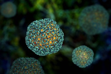 生物胺類檢測在高效液相色譜法中的應(yīng)用圖1 生物胺類檢測在高效液相色譜法中的應(yīng)用圖1
