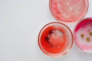 氣相質(zhì)譜(GC-MS)五大檢測分析優(yōu)勢圖3 氣相質(zhì)譜(GC-MS)五大檢測分析優(yōu)勢圖3