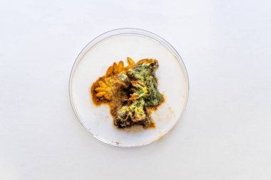 大豆球蛋白(Glycinin)elisa檢測試劑盒 大豆球蛋白(Glycinin)elisa檢測試劑盒
