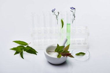 植物原花青素含量檢測(cè)試劑盒 植物原花青素含量檢測(cè)試劑盒
